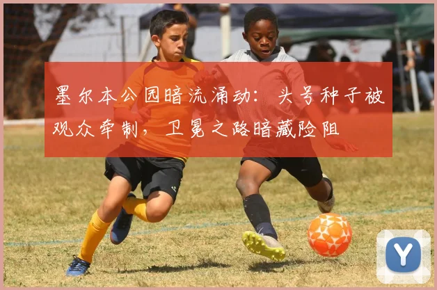 墨尔本公园暗流涌动：头号种子被观众牵制，卫冕之路暗藏险阻